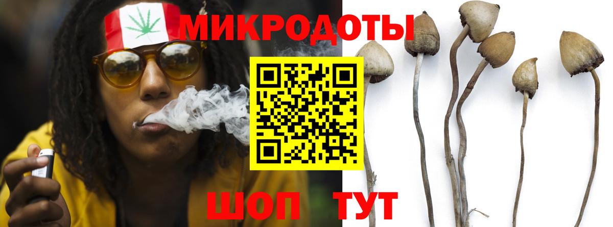 Пугачёв  Псилоцибиновые грибы GOLDEN TEACHER  Вход с VPN 